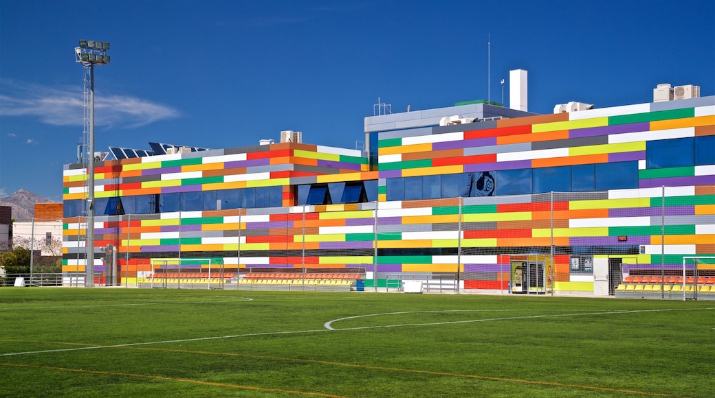 Arena Alicante Instalaciones